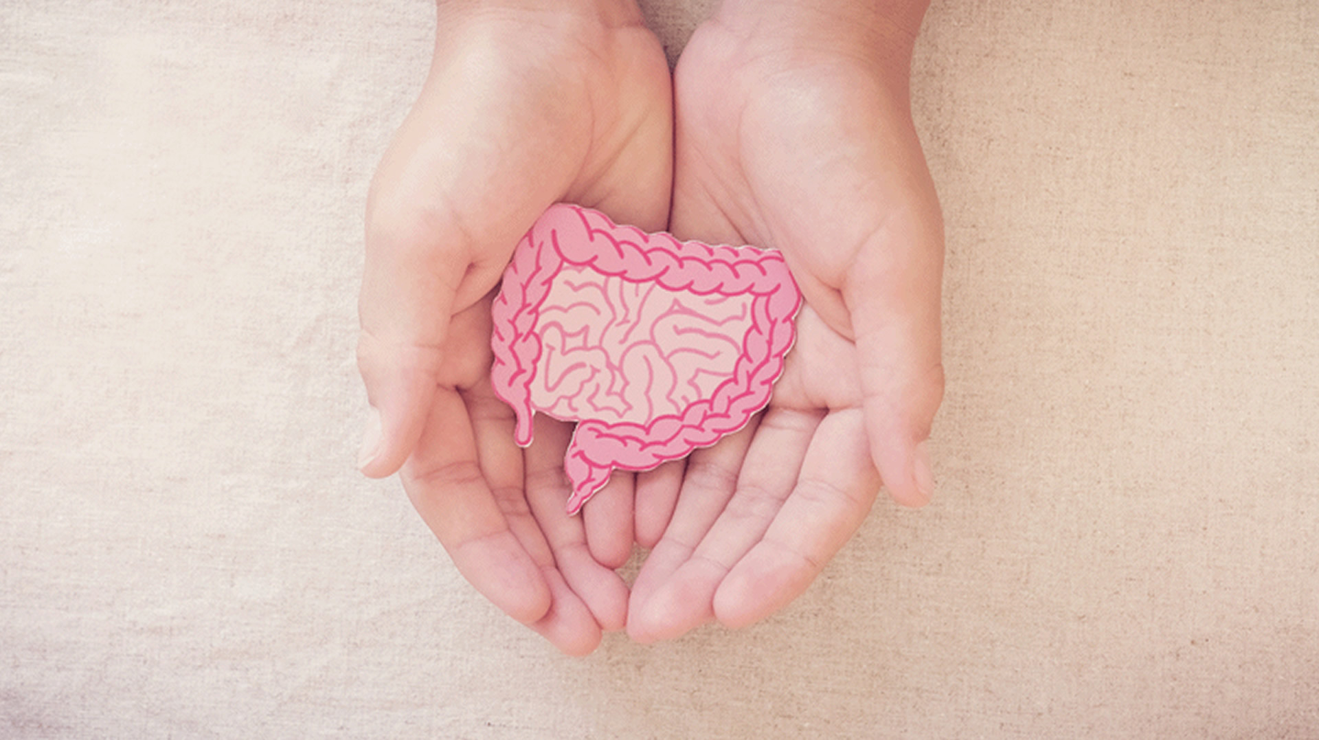 Cómo elegir el probiótico adecuado: factores a considerar