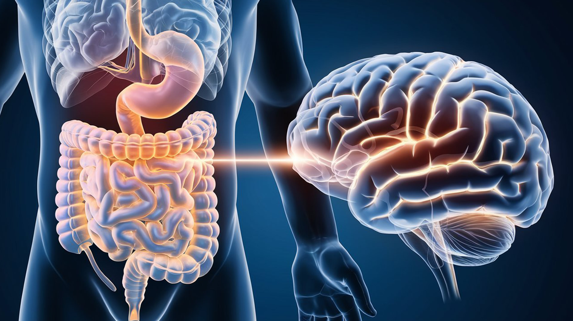 Tu digestión y tus emociones: ¿cómo se conectan?